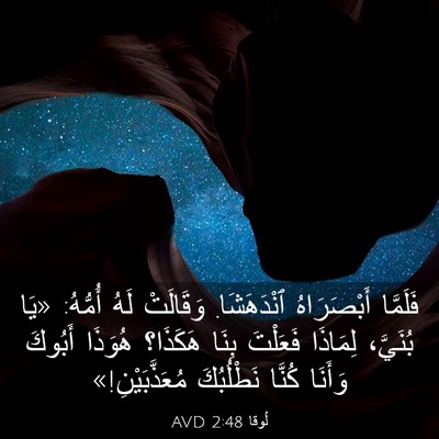 Picture 03 - لُوقا 2:48 AVD - فَلَمَّا أَبْصَرَاهُ - Bible Verse Picture
