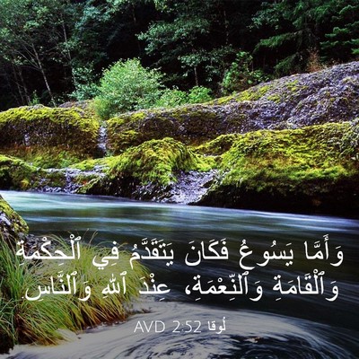 Picture 03 - لُوقا 2:52 AVD - وَأَمَّا يَسُوعُ فَكَانَ - Bible Verse Picture