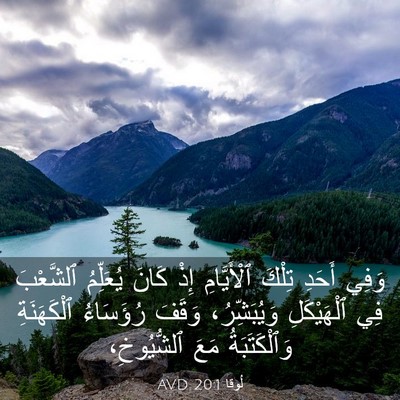 Picture 03 - لُوقا 20:1 AVD - وَفِي أَحَدِ تِلْكَ - Bible Verse Picture