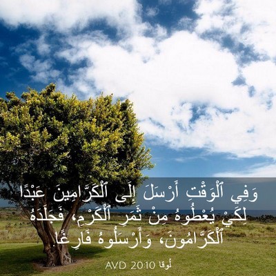 Picture 03 - لُوقا 20:10 AVD - وَفِي ٱلْوَقْتِ أَرْسَلَ - Bible Verse Picture