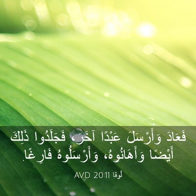 Picture 03 - لُوقا 20:11 AVD - فَعَادَ وَأَرْسَلَ - Bible Verse Picture