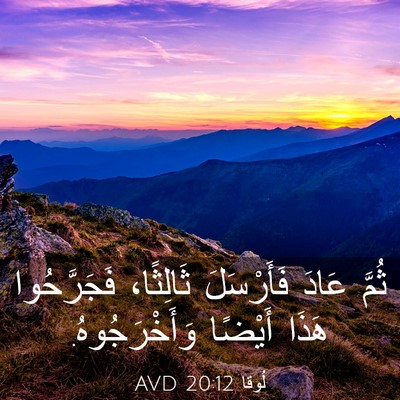 Picture 03 - لُوقا 20:12 AVD - ثُمَّ عَادَ فَأَرْسَلَ - Bible Verse Picture