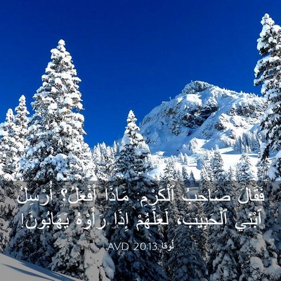 Picture 03 - لُوقا 20:13 AVD - فَقَالَ صَاحِبُ ٱلْكَرْمِ: - Bible Verse Picture