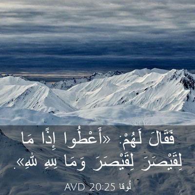Picture 03 - لُوقا 20:25 AVD - فَقَالَ لَهُمْ: «أَعْطُوا - Bible Verse Picture