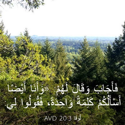 Picture 03 - لُوقا 20:3 AVD - فَأَجَابَ وَقَالَ لَهُمْ: - Bible Verse Picture