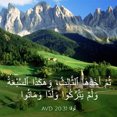 Picture 03 - لُوقا 20:31 AVD - ثُمَّ أَخَذَهَا - Bible Verse Picture