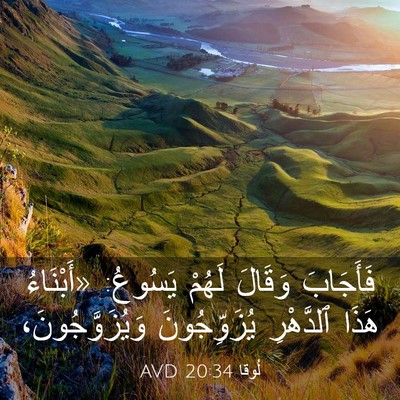 Picture 03 - لُوقا 20:34 AVD - فَأَجَابَ وَقَالَ لَهُمْ - Bible Verse Picture