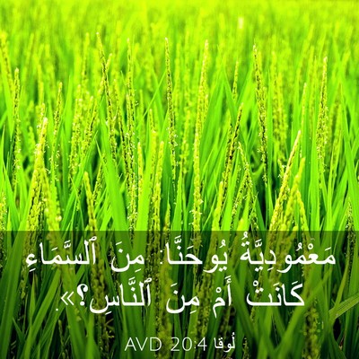 Picture 03 - لُوقا 20:4 AVD - مَعْمُودِيَّةُ يُوحَنَّا: - Bible Verse Picture