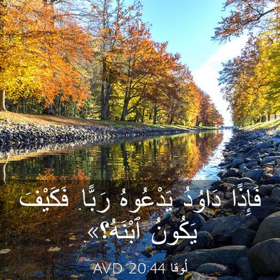 Picture 03 - لُوقا 20:44 AVD - فَإِذًا دَاوُدُ يَدْعُوهُ - Bible Verse Picture
