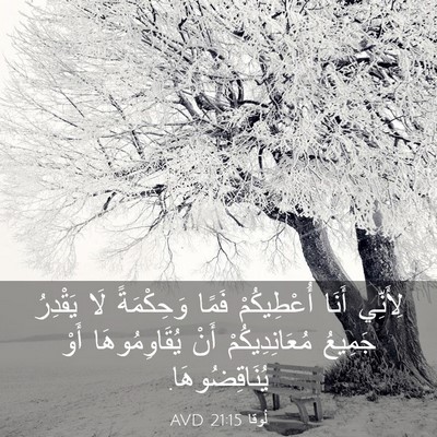 Picture 03 - لُوقا 21:15 AVD - لِأَنِّي أَنَا - Bible Verse Picture