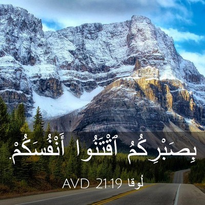 Picture 03 - لُوقا 21:19 AVD - بِصَبْرِكُمُ ٱقْتَنُوا - Bible Verse Picture