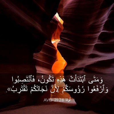 Picture 03 - لُوقا 21:28 AVD - وَمَتَى ٱبْتَدَأَتْ - Bible Verse Picture