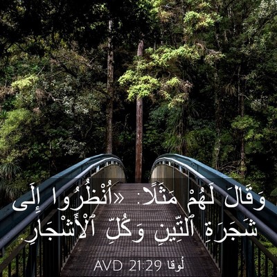 Picture 03 - لُوقا 21:29 AVD - وَقَالَ لَهُمْ مَثَلًا: - Bible Verse Picture