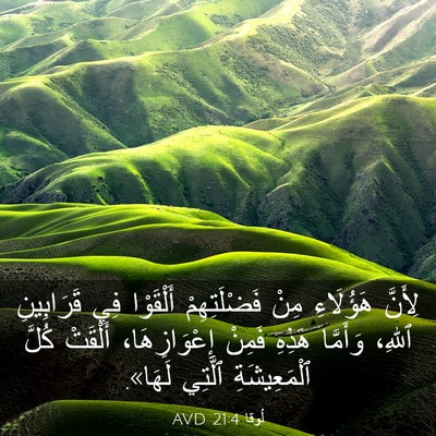 Picture 03 - لُوقا 21:4 AVD - لِأَنَّ هَؤُلَاءِ مِنْ - Bible Verse Picture
