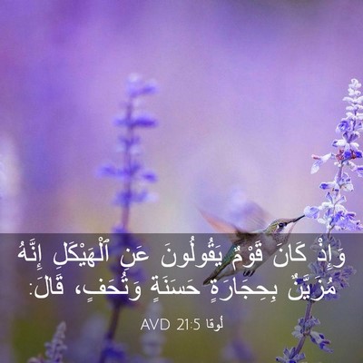Picture 03 - لُوقا 21:5 AVD - وَإِذْ كَانَ قَوْمٌ - Bible Verse Picture