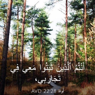 Picture 03 - لُوقا 22:28 AVD - أَنْتُمُ ٱلَّذِينَ - Bible Verse Picture