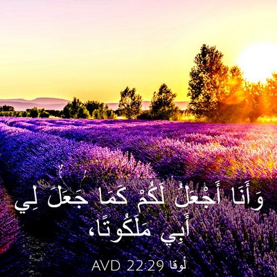 Picture 03 - لُوقا 22:29 AVD - وَأَنَا أَجْعَلُ لَكُمْ - Bible Verse Picture