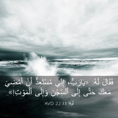 Picture 03 - لُوقا 22:33 AVD - فَقَالَ لَهُ: «يَارَبُّ، - Bible Verse Picture