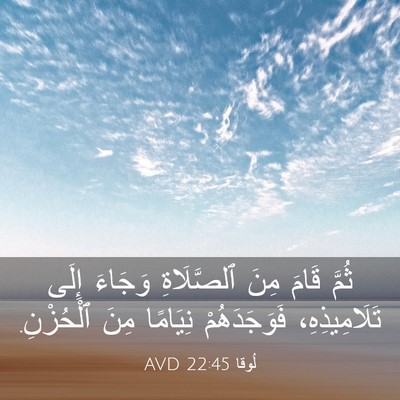 Picture 03 - لُوقا 22:45 AVD - ثُمَّ قَامَ مِنَ - Bible Verse Picture