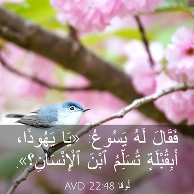 Picture 03 - لُوقا 22:48 AVD - فَقَالَ لَهُ يَسُوعُ: «يَا - Bible Verse Picture