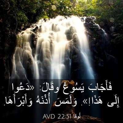 Picture 03 - لُوقا 22:51 AVD - فَأَجَابَ يَسُوعُ وقَالَ: - Bible Verse Picture