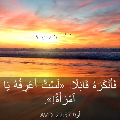 Picture 03 - لُوقا 22:57 AVD - فَأَنْكَرَهُ قَائِلًا: - Bible Verse Picture