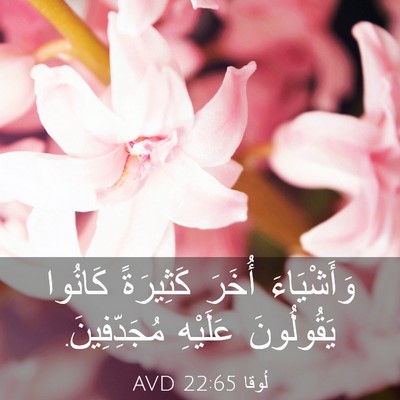 Picture 03 - لُوقا 22:65 AVD - وَأَشْيَاءَ أُخَرَ - Bible Verse Picture