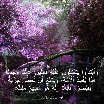 Picture 03 - لُوقا 23:2 AVD - وَٱبْتَدَأُوا يَشْتَكُونَ - Bible Verse Picture