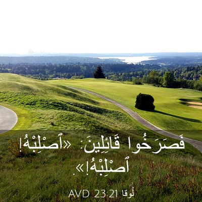 Picture 03 - لُوقا 23:21 AVD - فَصَرَخُوا قَائِلِينَ: - Bible Verse Picture