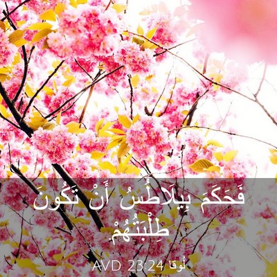 Picture 03 - لُوقا 23:24 AVD - فَحَكَمَ بِيلَاطُسُ أَنْ - Bible Verse Picture