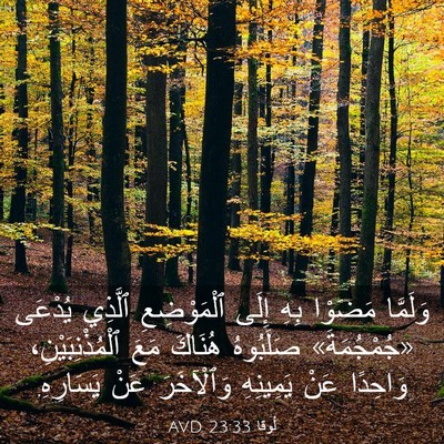 Picture 03 - لُوقا 23:33 AVD - وَلَمَّا مَضَوْا بِهِ - Bible Verse Picture
