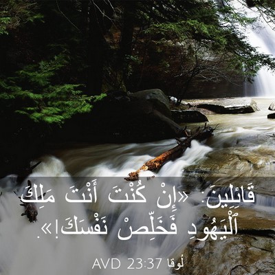 Picture 03 - لُوقا 23:37 AVD - قَائِلِينَ: «إِنْ كُنْتَ - Bible Verse Picture