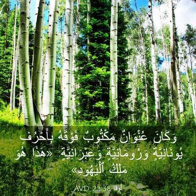 Picture 03 - لُوقا 23:38 AVD - وَكَانَ عُنْوَانٌ - Bible Verse Picture