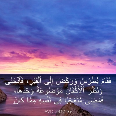 Picture 03 - لُوقا 24:12 AVD - فَقَامَ بُطْرُسُ وَرَكَضَ - Bible Verse Picture