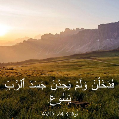 Picture 03 - لُوقا 24:3 AVD - فَدَخَلْنَ وَلَمْ - Bible Verse Picture