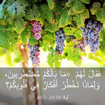 Picture 03 - لُوقا 24:38 AVD - فَقَالَ لَهُمْ: «مَا - Bible Verse Picture