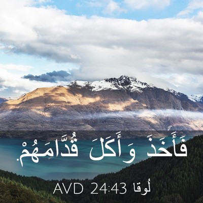 Picture 03 - لُوقا 24:43 AVD - فَأَخَذَ وَأَكَلَ - Bible Verse Picture