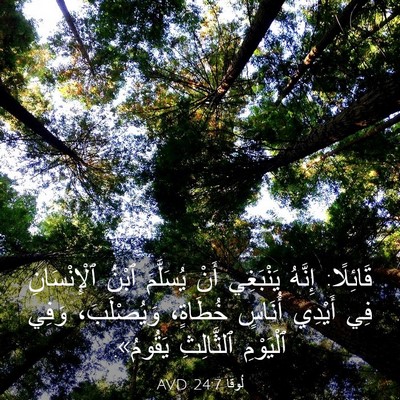 Picture 03 - لُوقا 24:7 AVD - قَائِلًا: إِنَّهُ - Bible Verse Picture