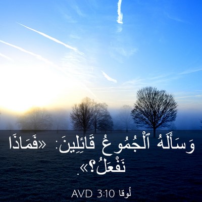 Picture 03 - لُوقا 3:10 AVD - وَسَأَلَهُ ٱلْجُمُوعُ - Bible Verse Picture