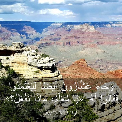 Picture 03 - لُوقا 3:12 AVD - وَجَاءَ عَشَّارُونَ - Bible Verse Picture