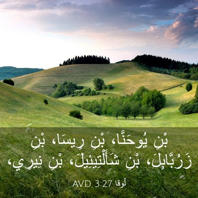 Picture 03 - لُوقا 3:27 AVD - بْنِ يُوحَنَّا، بْنِ - Bible Verse Picture