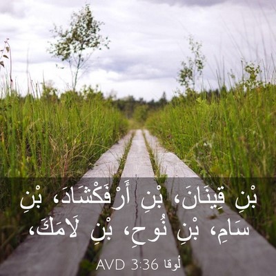 Picture 03 - لُوقا 3:36 AVD - بْنِ قِينَانَ، بْنِ - Bible Verse Picture