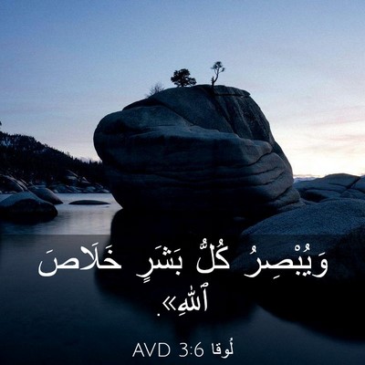 Picture 03 - لُوقا 3:6 AVD - وَيُبْصِرُ كُلُّ بَشَرٍ - Bible Verse Picture