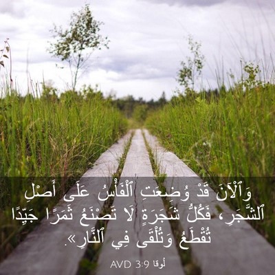 Picture 03 - لُوقا 3:9 AVD - وَٱلْآنَ قَدْ وُضِعَتِ - Bible Verse Picture