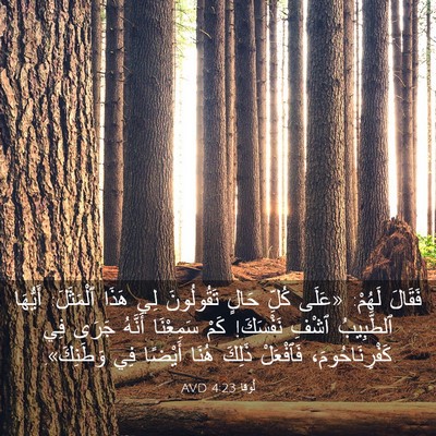 Picture 03 - لُوقا 4:23 AVD - فَقَالَ لَهُمْ: «عَلَى - Bible Verse Picture
