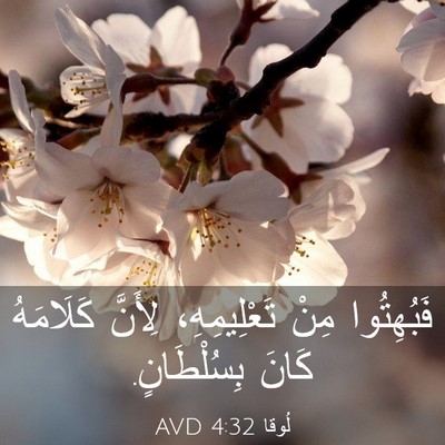 Picture 03 - لُوقا 4:32 AVD - فَبُهِتُوا مِنْ - Bible Verse Picture