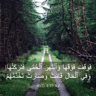 Picture 03 - لُوقا 4:39 AVD - فَوَقَفَ فَوْقَهَا - Bible Verse Picture