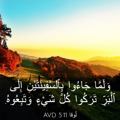 Picture 03 - لُوقا 5:11 AVD - وَلَمَّا جَاءُوا - Bible Verse Picture