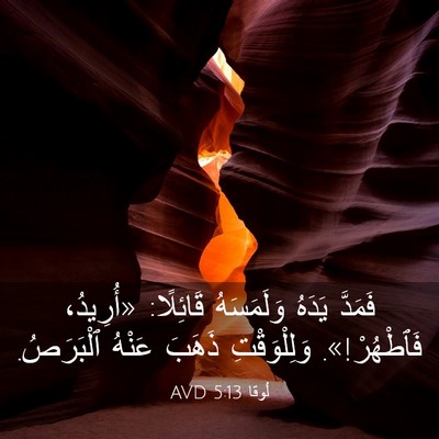 Picture 03 - لُوقا 5:13 AVD - فَمَدَّ يَدَهُ وَلَمَسَهُ - Bible Verse Picture