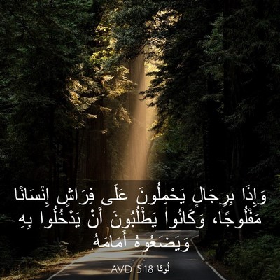 Picture 03 - لُوقا 5:18 AVD - وَإِذَا بِرِجَالٍ - Bible Verse Picture